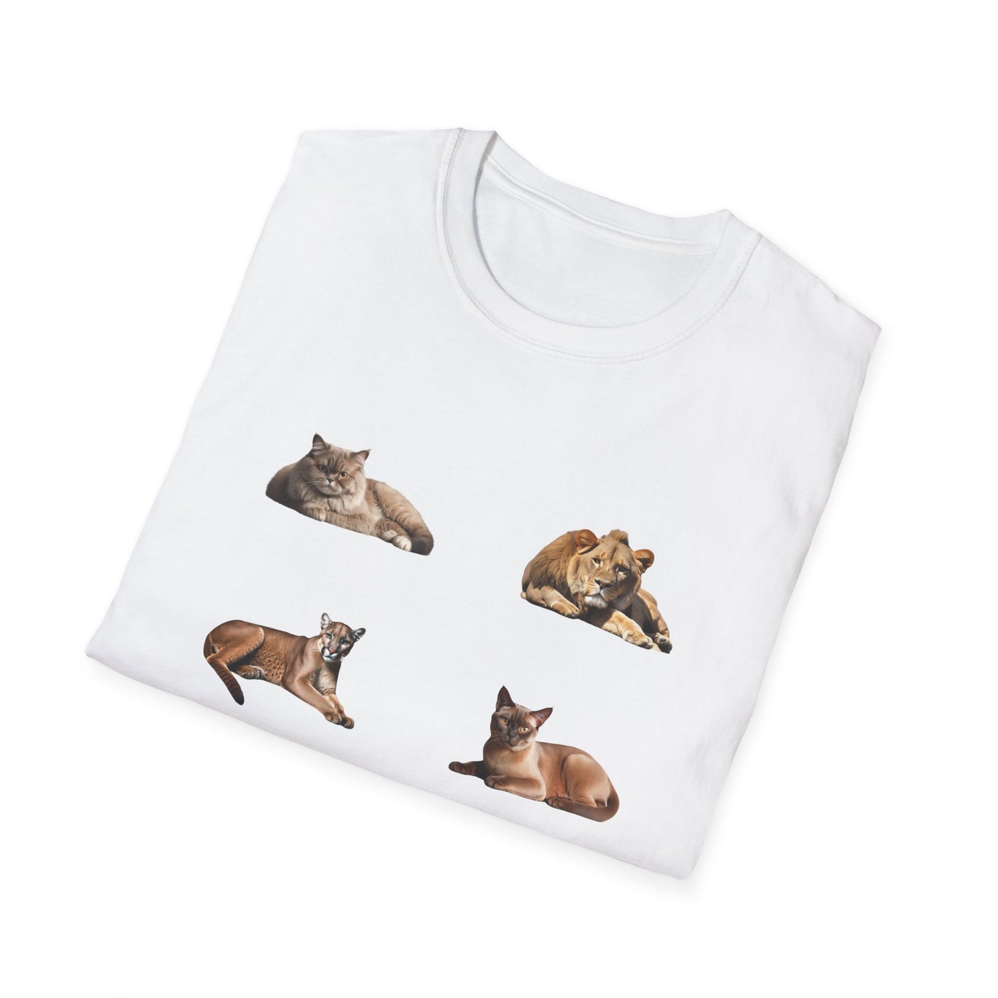 Unisex Softstyle, T-Shirt mit Aufschrift, Small Kitties Big Kitties, Katzen T-Shirt, Baumwoll T-Shirt, Aufschrift Shirt, Tierliebhaber Shirt