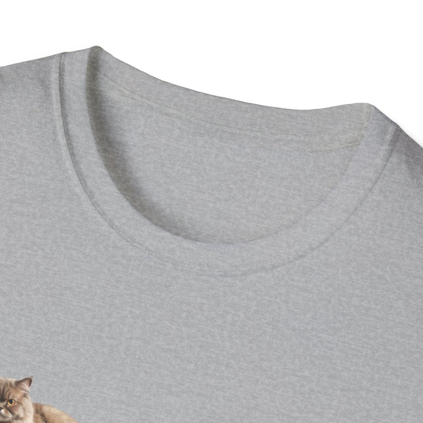 Unisex Softstyle, T-Shirt mit Aufschrift, Small Kitties Big Kitties, Katzen T-Shirt, Baumwoll T-Shirt, Aufschrift Shirt, Tierliebhaber Shirt