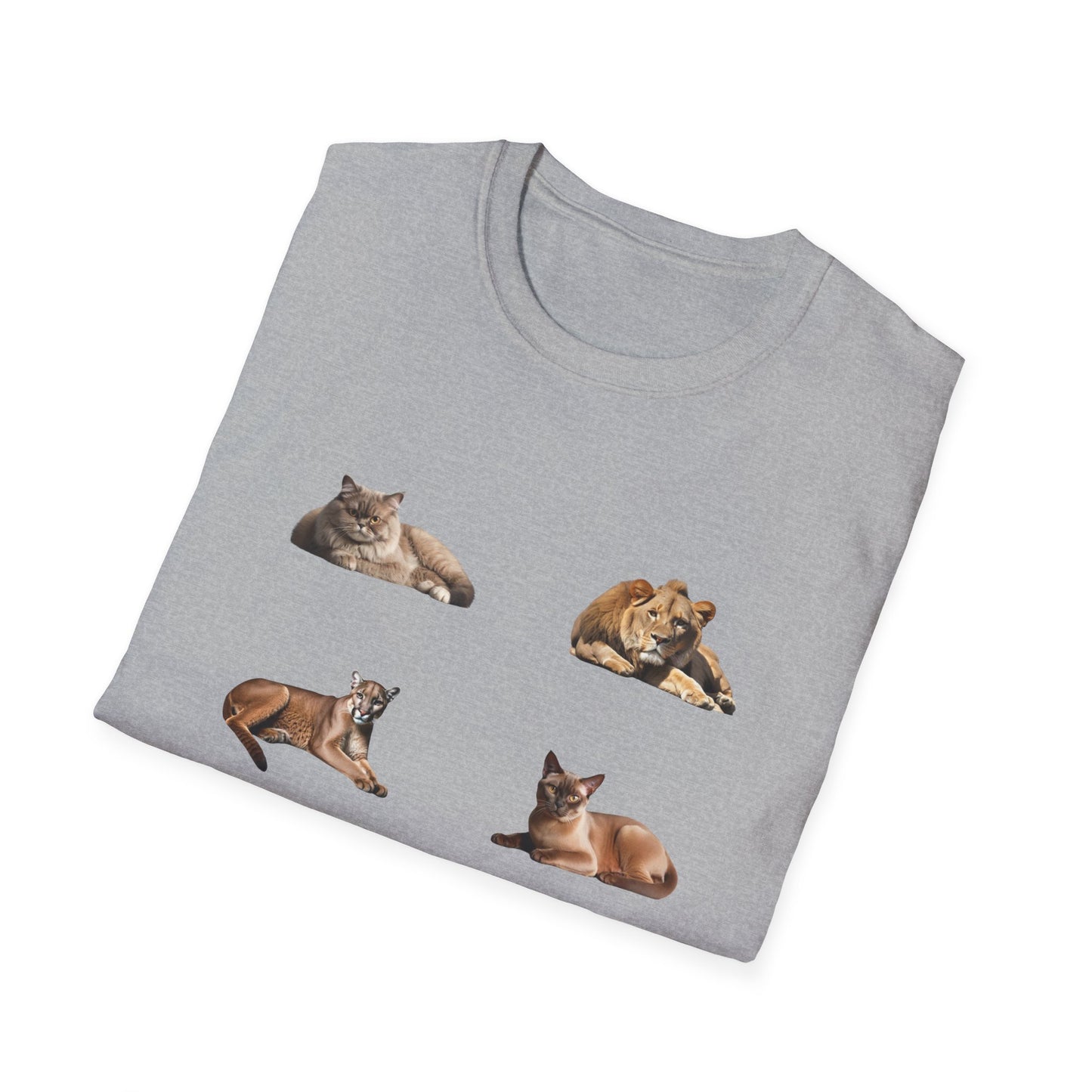 Unisex Softstyle, T-Shirt mit Aufschrift, Small Kitties Big Kitties, Katzen T-Shirt, Baumwoll T-Shirt, Aufschrift Shirt, Tierliebhaber Shirt